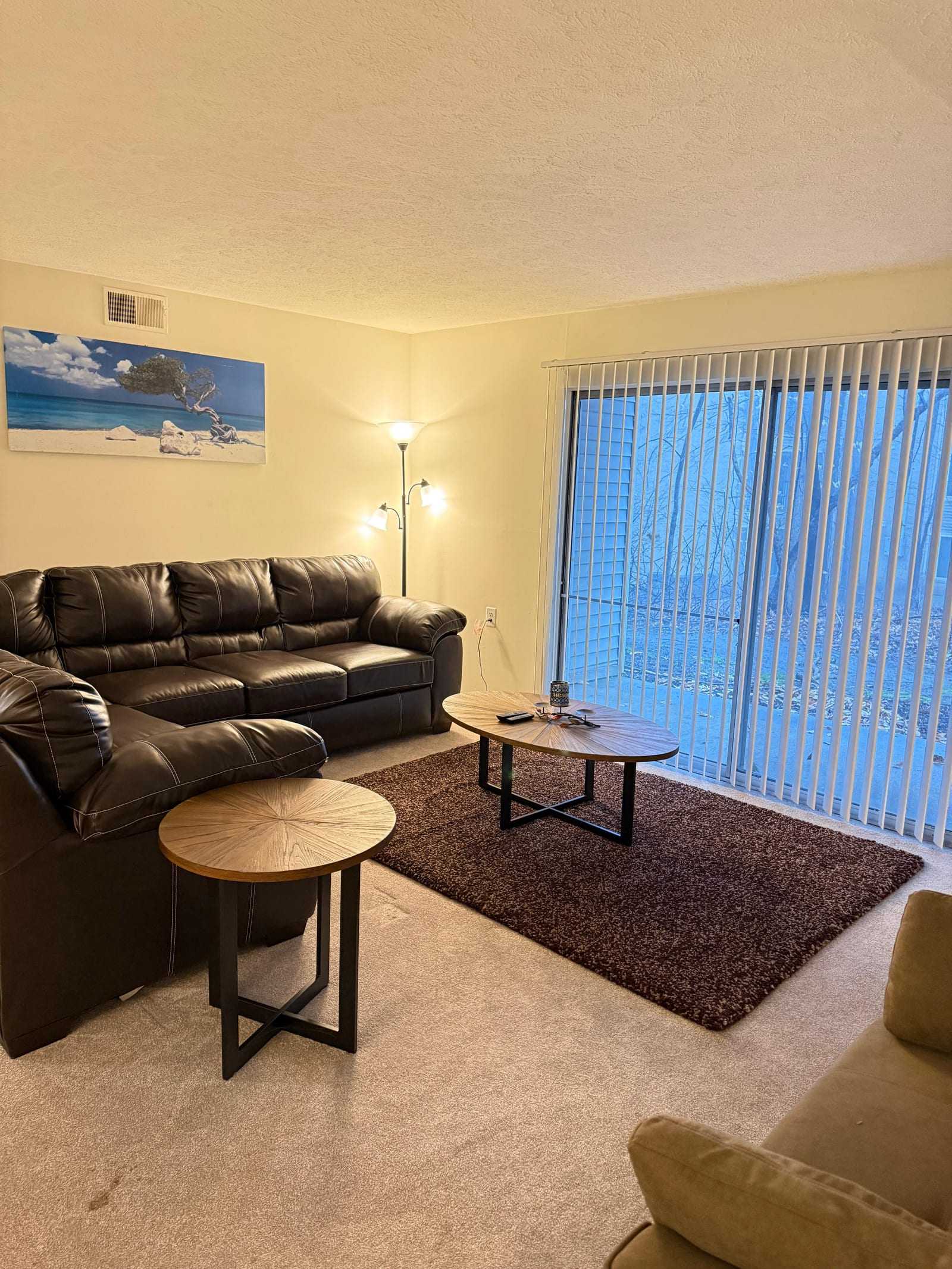The shared living room, with two brown leather sofas arranged around a low table, a floor lamp, and a sliding glass door onto the garden.