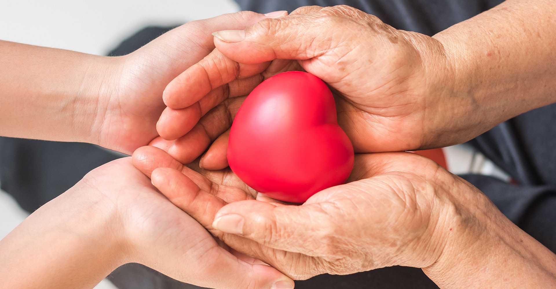 A younger person's hands and an older person's hands cradling a red heart shape together.